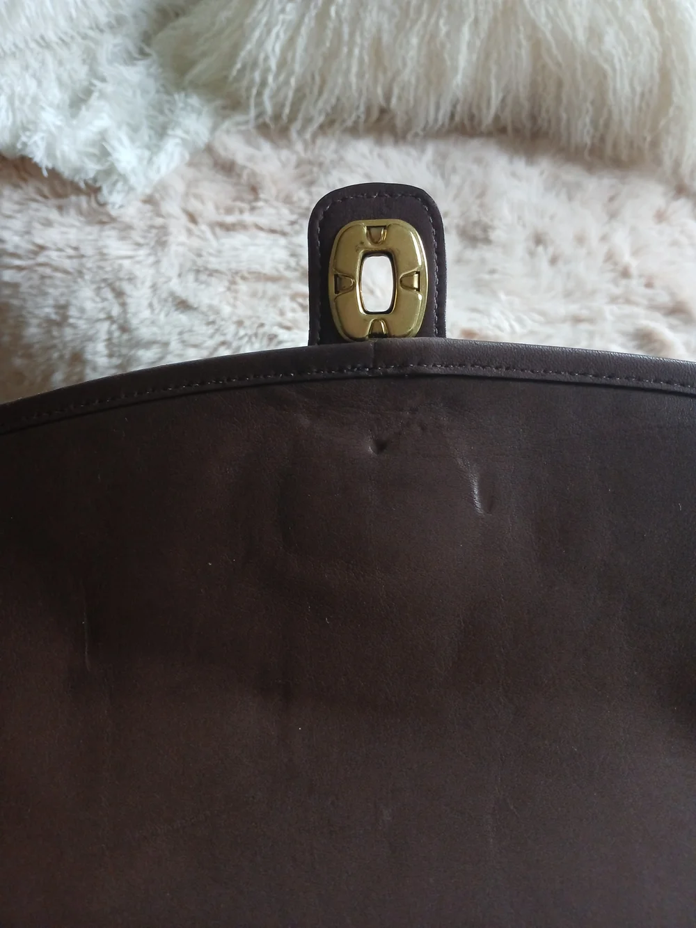 Classic Brown Leather Messenger Bag with Gold Hardware Coach.